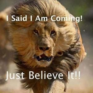 Meet your Posher, Ronald